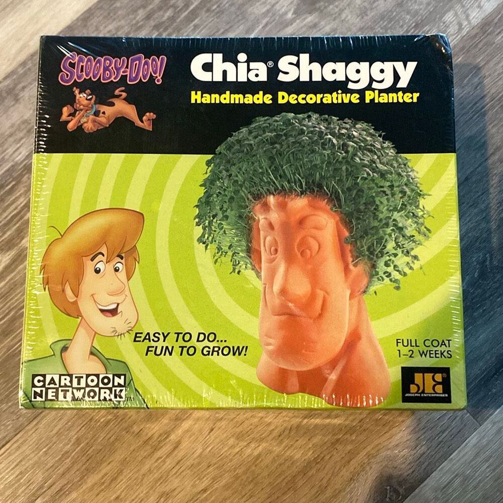 2002 Chia Pet Scooby Doo Chia Shaggy Cartoon Network Planter New Open Box